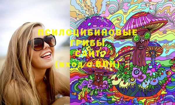 спайс Баксан