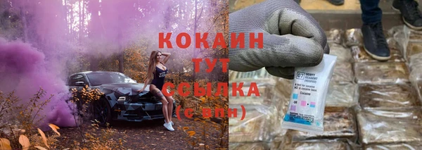 спайс Баксан
