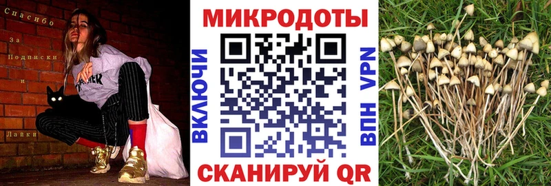 Псилоцибиновые грибы MAGIC MUSHROOMS  где купить наркотик  Чухлома 